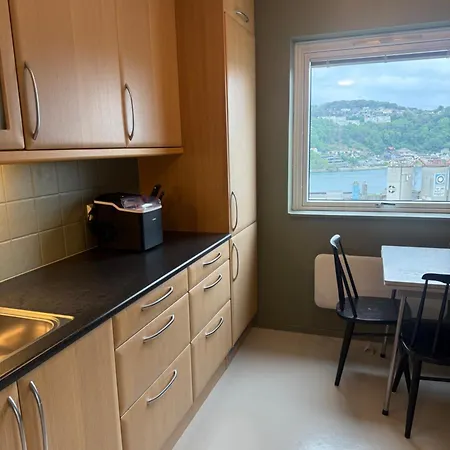 Apartment Sentrumsnaer I